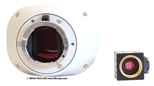 sensor comparison fullframe sensor Nikon DS-Ri2 microscope camera and c-mount camera