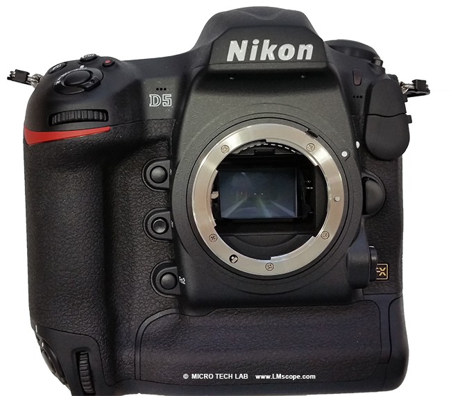 Nikon D5 microscope camera for professional use