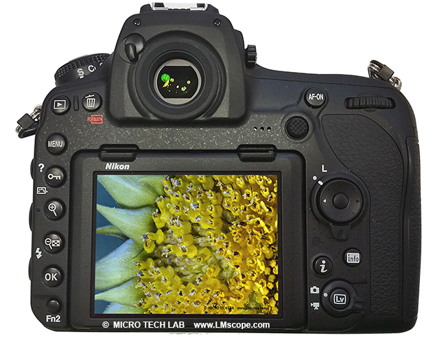 Nikon D850 pour la microscopie