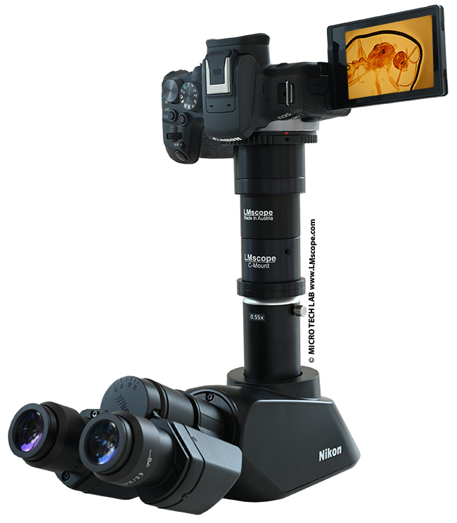 Digital cameras on the Nikon Eclipse Ei photo tube EC-T-TF Trinocular tube, with microscope adapter, mirrorless system camera
