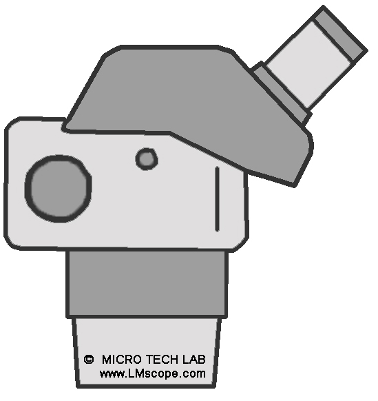 Stereomikroskop Tubus Nikon SMZ 645 mit 45 Grad Winkel