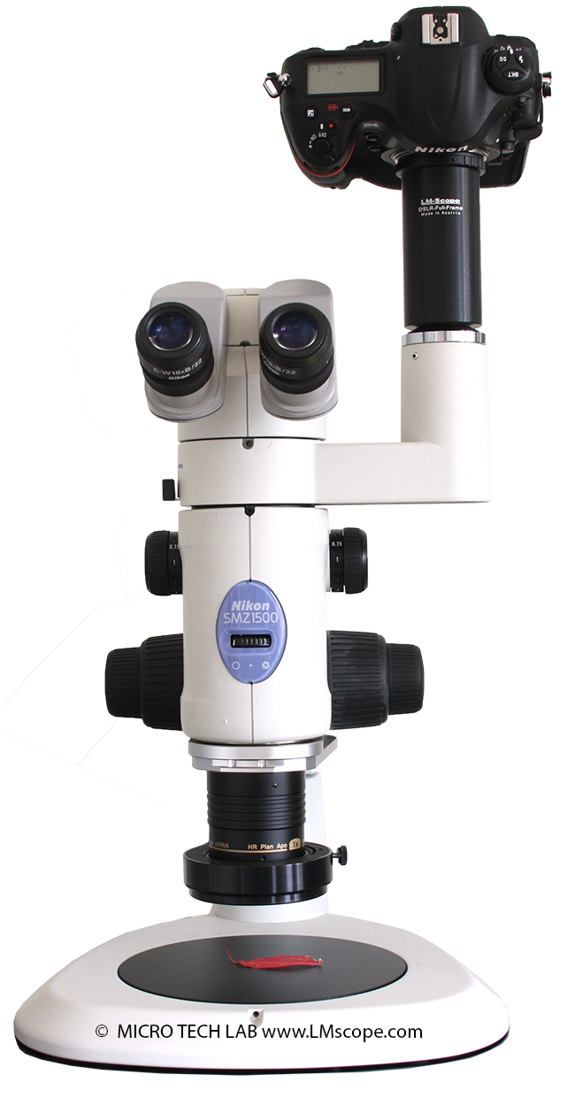 Nikon SMZ 1500 microscopio estereoscópic con  Nikon D4 y adaptator