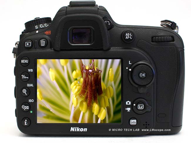 Nikon D610 camara pantalla