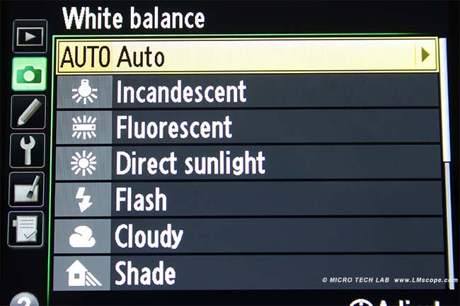 Nikon camera setup white balance