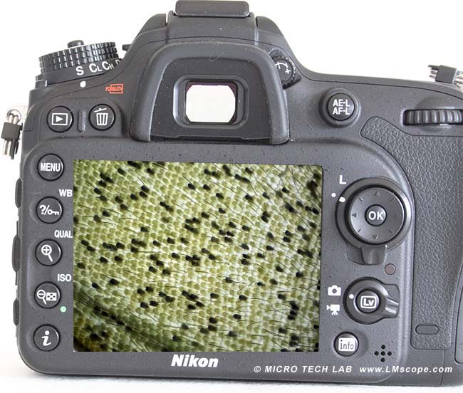 Nikon D7100 display