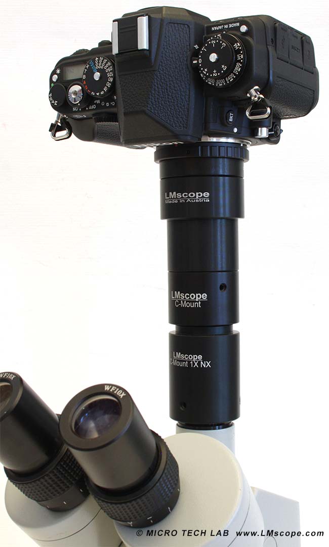 Nikon DF montage on microscope