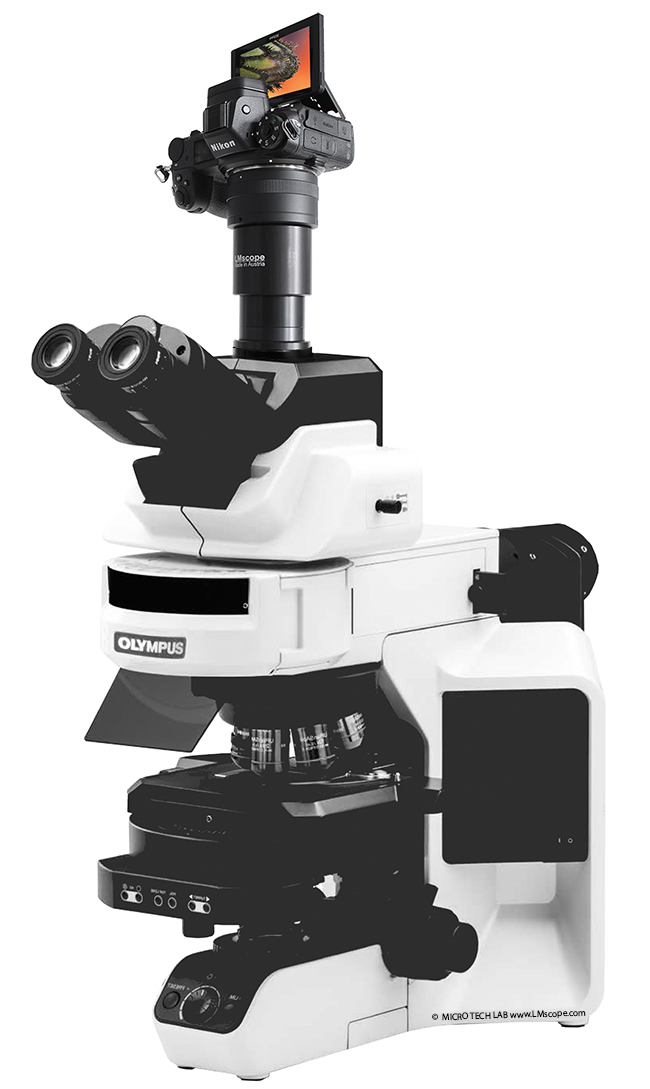 Moderne Digitalkameras am Olympus BX63 Labormikroskop Auflicht Durchlicht Polarisation UIS2