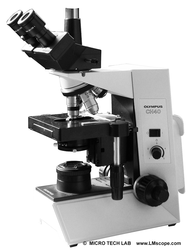 Olympus ancien microscope avec optique corrigée à la finie