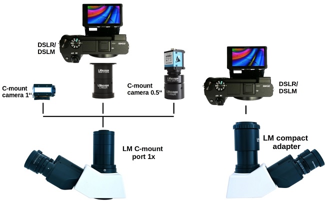 Microscopio Olympus con c-mount port y LM adaptador