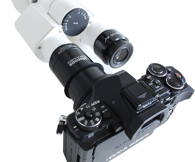 Olympus eyepiece microscope camera with four-thirds sensor