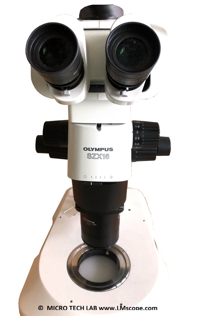 Olympus SZX16 Stereomikroskop mit Fototubus Adapterlösung