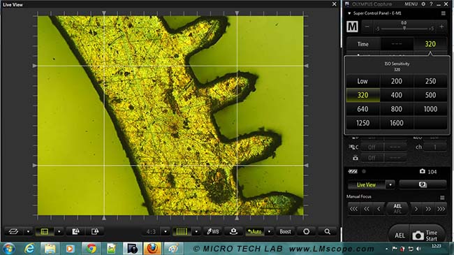 define iso sensitivity Olympus microscope