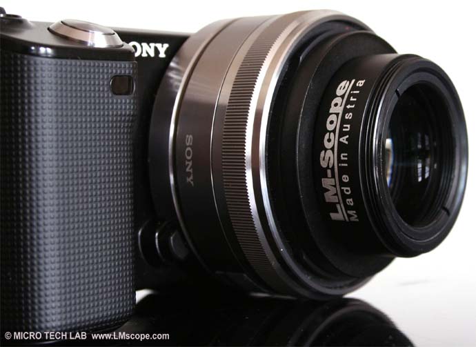 Sony Nex 5 with LM Macro 80 close-up lens