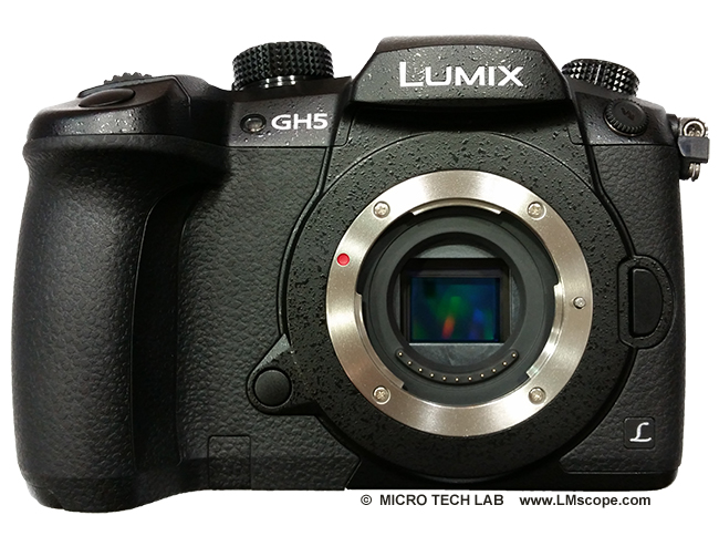Panasonic Lumix DC-GH5 M43 DSLM microscope camera