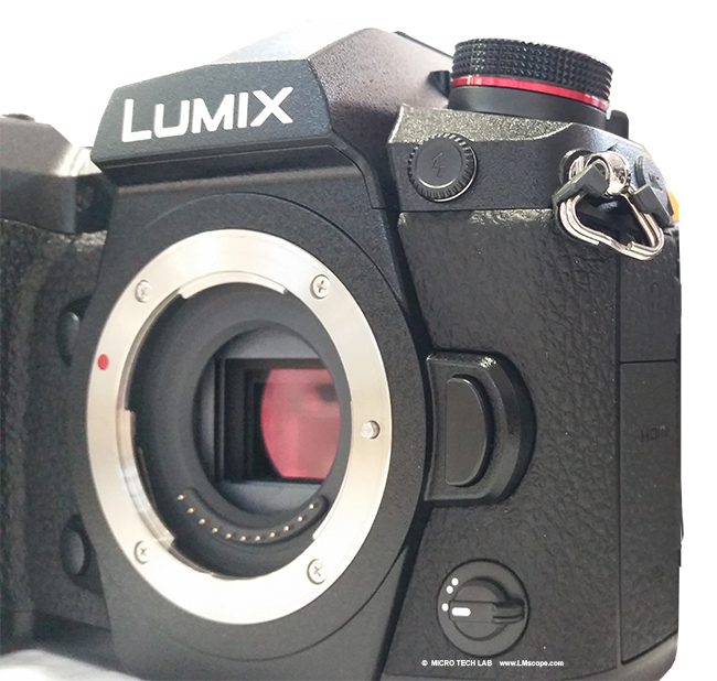 Panasonic DSLM Lumix fr die MIkroskopie