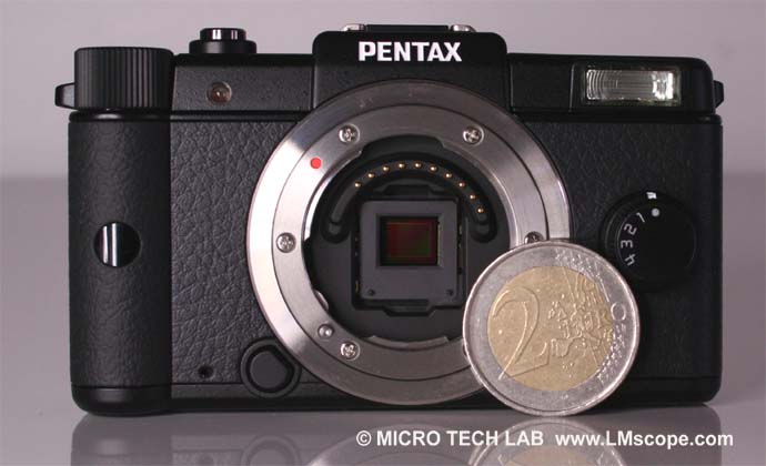 Pentax Q - Tiny camera with interchangeable lens mount on microscope