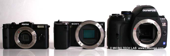 Comparison of the sensor sizes of Pentax Q, Sony NEX, Olympus E-620