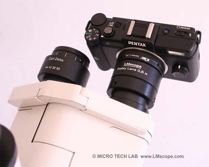 Pentax Q sur tube binoculaire (oculaire)