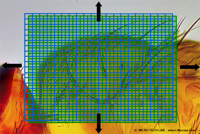 Sony Sensor with pixel shift technique in microscopy use