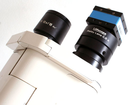 CMount Kamera am Okulartubus eines Mikroskops mit LM Relay Lens Adapter (Faktor 0,5)