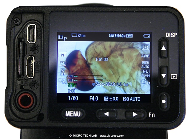 Am Mikroskop Sony Ribcage RX0 Display Live Bild Anzeige