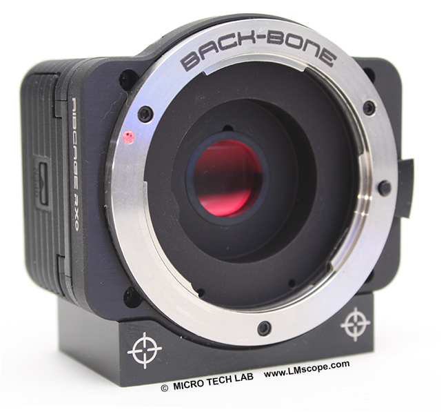 Ribcage RX0 /  Sony DSC-RX0 mit micro four thirds Bajonett Adapterlösung für Mikroskop