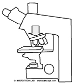 Fotos machen mit Labormikroskop