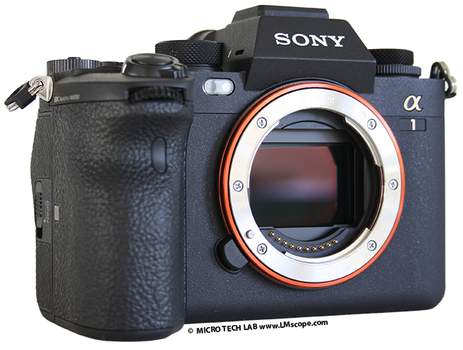 camera with big sensor, advanced camera Sony Alpha as microscope camera