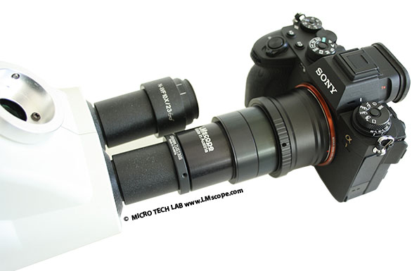 Caméra oculaire supérieure : montage Sony Alpha 1 sur le tube oculaire Montage microscope