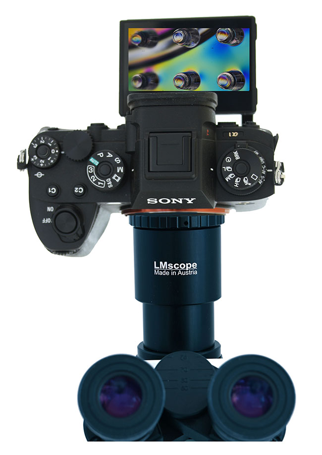 Sony Alpha mit LM Adapter am Mikroskop mit LM Adapteradapter, am Fototubus oder auch am Okulartubus