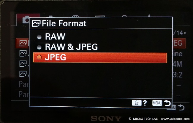Sony Alpha 6400 DSLM choose file format