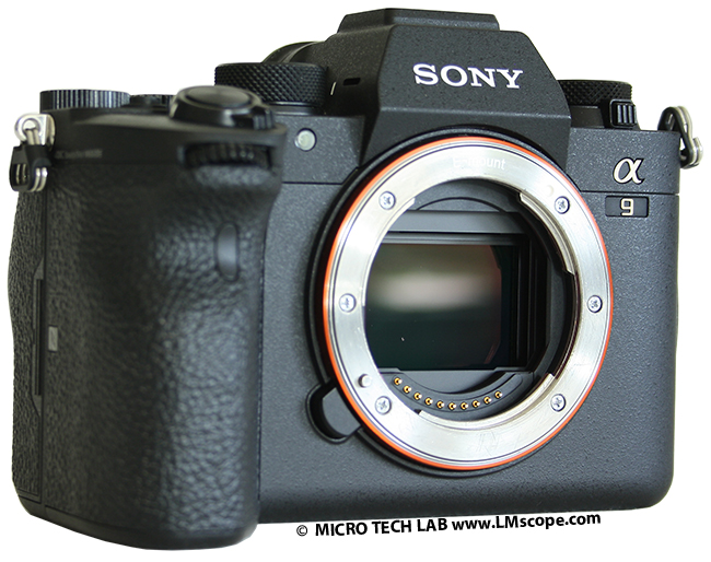 Sony Alpha 6700 Digital Mirrorless Camera — Pro Photo Supply