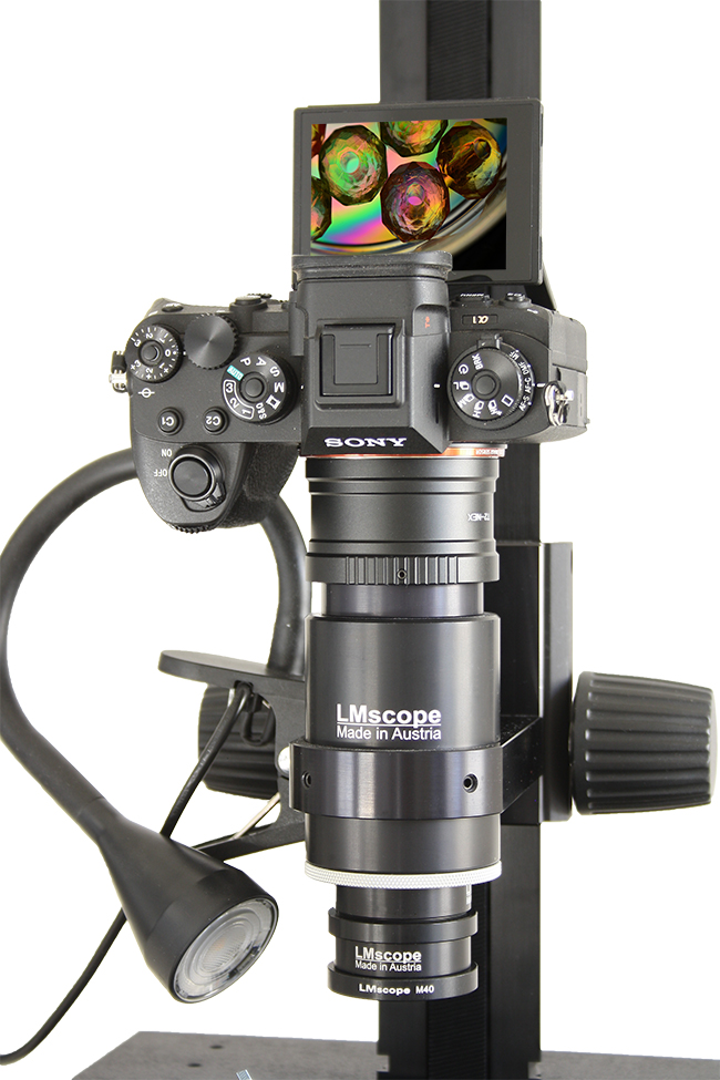  Sony Alpha 1 Macroscopie Macroscope Monter des photos de haute qualité Grand capteur