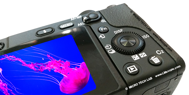 Sony ILCE 6400 DSLM as USB microscope camera