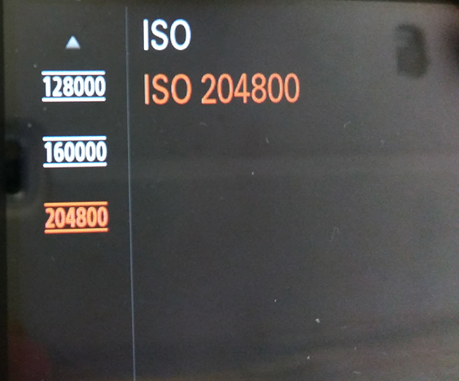 High ISO Sensitivity DSLM