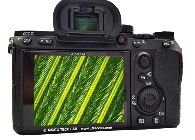 Sony Alpha 7 III TFT Display Touchscreen