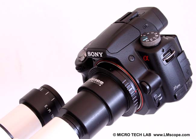 Sony Alpha 55 microscope adapter for eyepiece tube