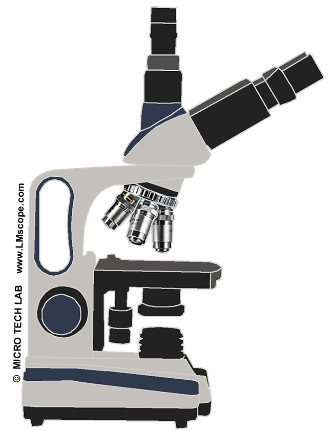 Swift 380T laboratory microscope, photo tube, entry level microscope, DSLR adapter, eyepiece adapter