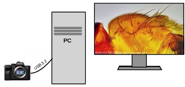 Sony A 7R4 with USB 3.2 connection on PC