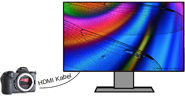 Nikon Z7 HDMI Verbindung zu 4K Monitor fr Live Bild