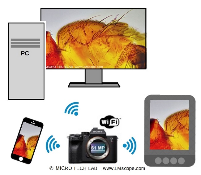 Sony ILCE 7R IV: quick live view due to 5 GHz wireless LAN connection camera PC 