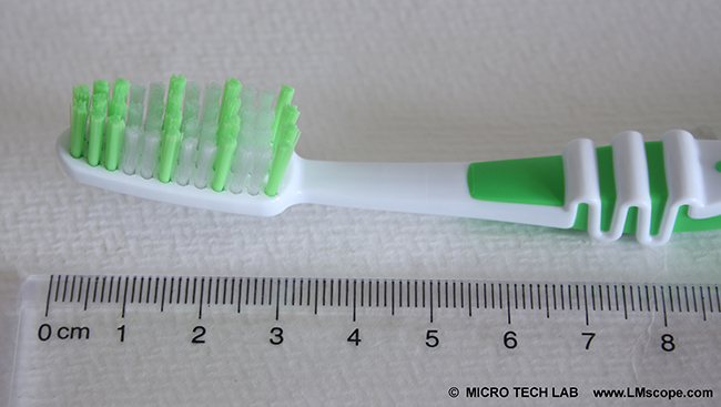 brosse  dent nouvelle macroscope