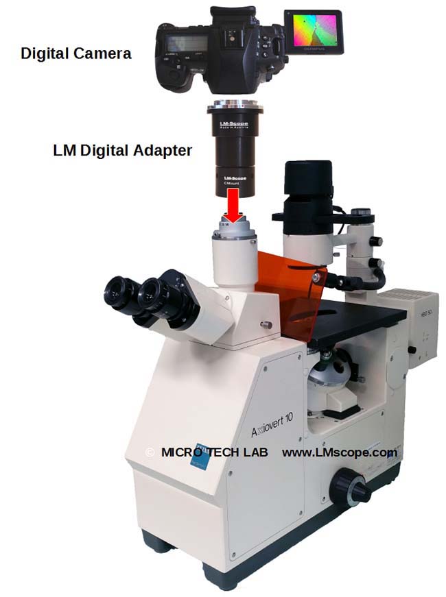 Zeiss Axiovert Mikroskopkamera