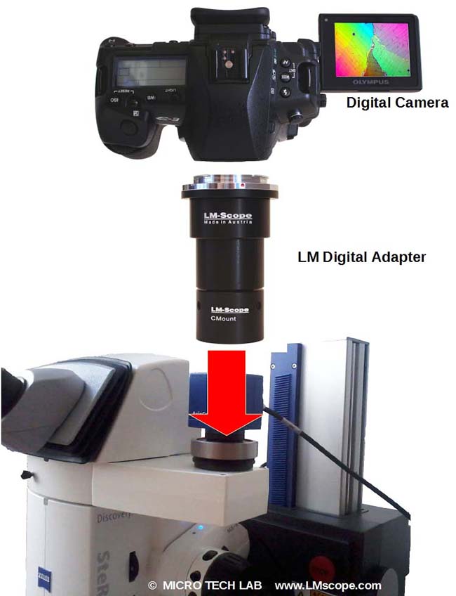 Zeiss Stereo Discovery V8, V12, V20