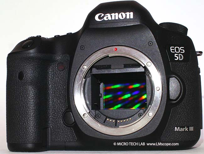 Canon 5D Mark III Body sensor
