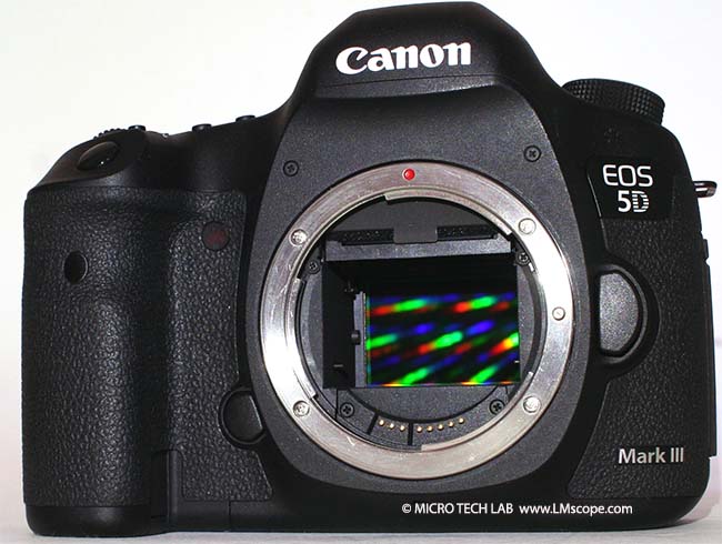 Okkernoot stil Werkgever Testbericht: Canon EOS 5D Mark III