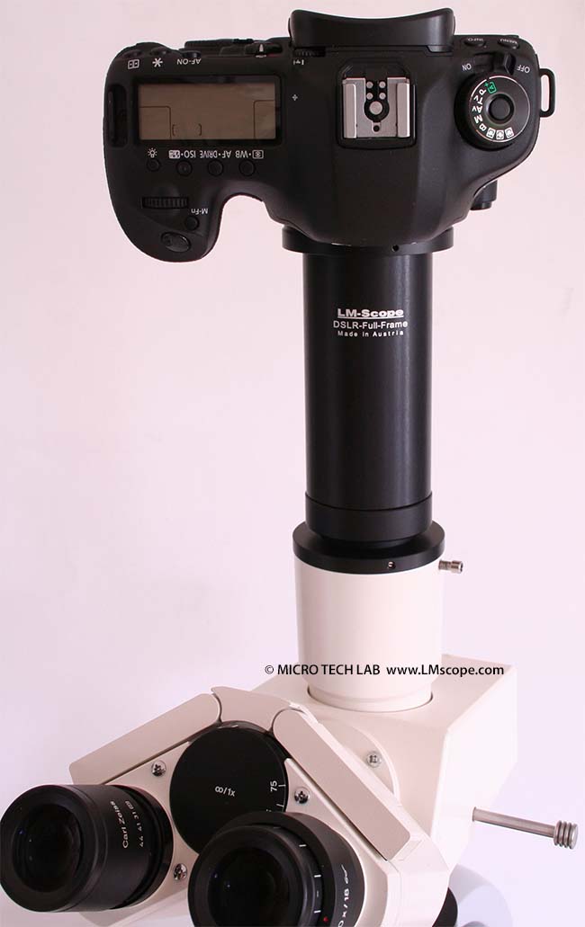 Canon EOS 5D III en microscopio