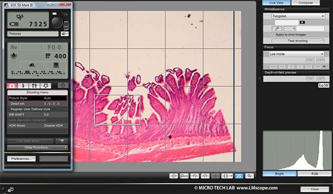 Canon EOS Utility Software