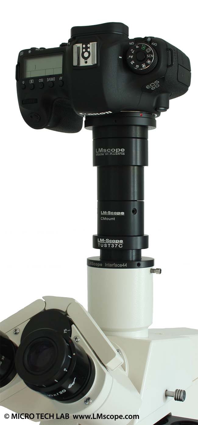 Canon EOS 6D adapter solution for stereomicroscope