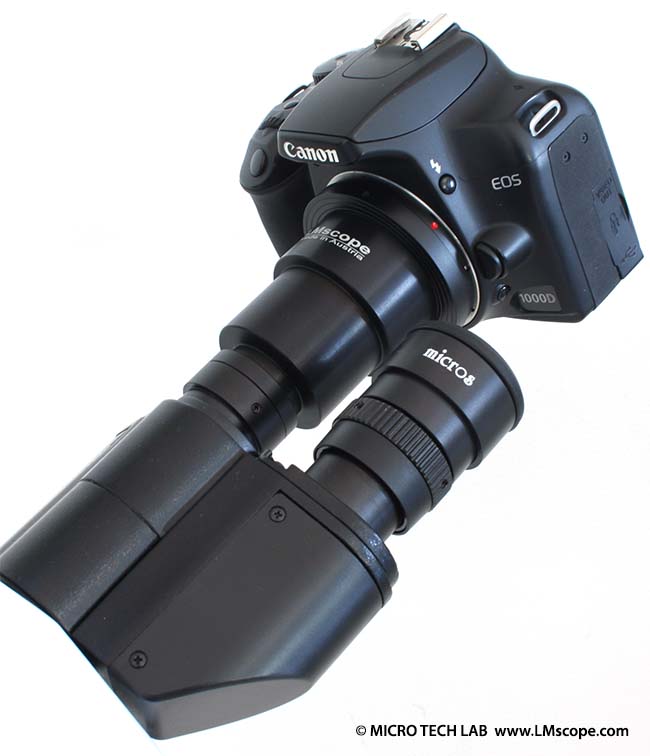 Canon EOS 1000D am Okulartubus eine Micros Mikroskops